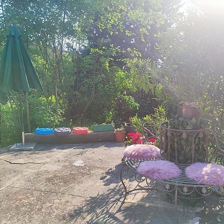 Villa Sunci Fiume Esterno foto