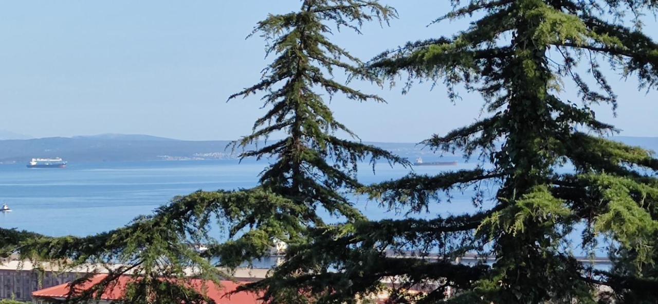Villa Sunci Fiume Esterno foto